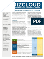 BizCloud DataSheet