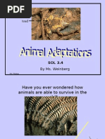 Download Animal Adaptations PPT1 by chabries SN10503652 doc pdf