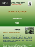 Fisiologia Do Bonsai