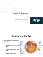 Special Senses - I: Histology of Eye