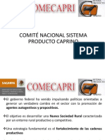 Comité Nacional Sistema Producto Caprino