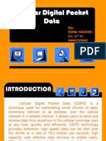 Cellular Digital Packet Data
