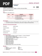 EVG Staining for Elastic Tissue Analysis | PDF | Staining | Histology