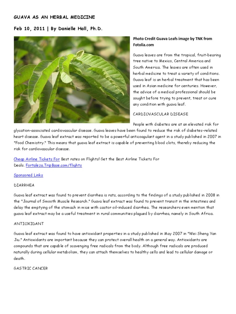Guava as an Herbal Medicine Glycemic Index Vitamin C