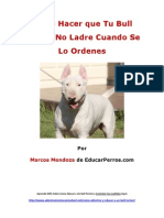 Como Hacer que Tu Bull Terrier No Ladre Cuando De Lo Ordenes