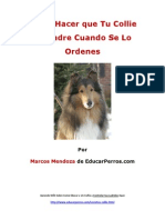 Como Hacer que Tu Collie No Ladre Cuando De Lo Ordenes