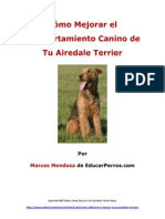 Como Mejorar el Comportamiento Canino de tu Airedale Terrier