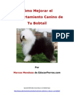 Como Mejorar el Comportamiento Canino de tu Bobtail