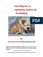 Como Mejorar el Comportamiento Canino de tu Bulldog