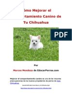 Como Mejorar el Comportamiento Canino de tu Chihuahua