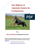 Cýýmo Mejorar El Comportamiento Canino de Tu Doberman