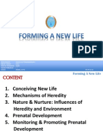 Forming A New Life