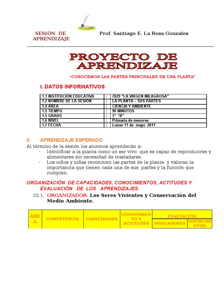 Proyecto de Aprendizaje: Las Plantas | PDF | Plantas | Aprendizaje