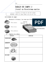 Trabajo de Campo 1 Ancon