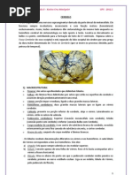 Cerebelo. PDF