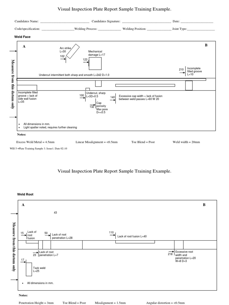 Visual Inspection Plate Report Sample | PDF