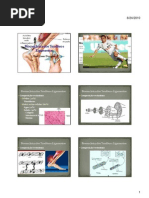 Biomecânica dos Tendões e Ligamentos