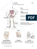 MHA - Mod 5 - HD 5-1 - Musculo-Skeletal System PDF