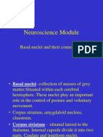 Basal Neuclei & Their Connections