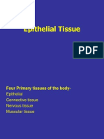 Epithelial Tissue