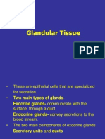 Glandular Tissue