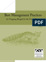 Best Management Practices for Trapping Ringtail