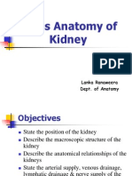 Abdomen & Pelvis_Anatomy of Kidney2004