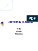 Abdomen & Pelvis - Ureters, Bladder & Micturition