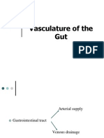 Abdomen - Vasculature of Gut