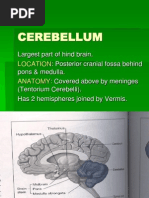 physiology of Cerebellum lec foe 2nd year by dr sadia uploaded by zaigham