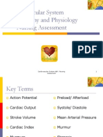 Cardiovascular AP &amp Nursing Assessment