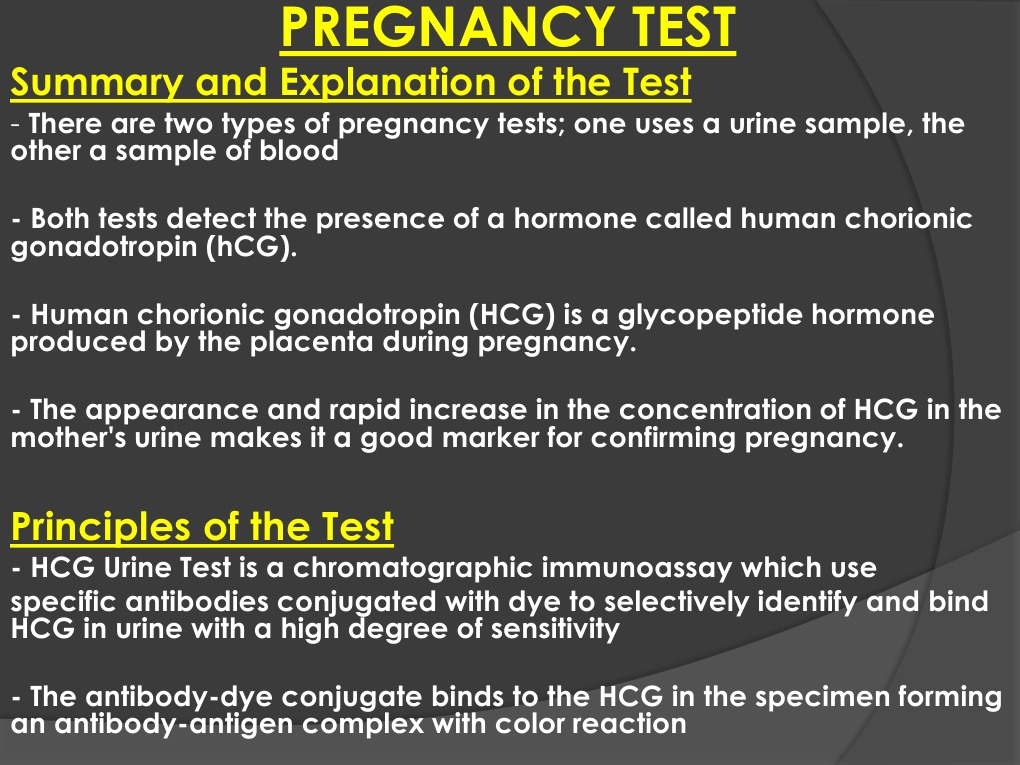 Pregnancy Test | PDF | Human Chorionic Gonadotropin | Health Sciences