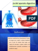 Hemorragia Del Aparato Digestivo