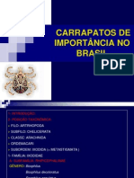 IMPORTÂNCIA_DOS_CARRAPATOS_NO_