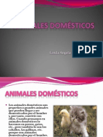 Animales domésticos