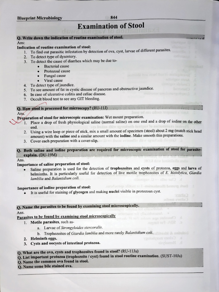 Stool Examination Miceo | PDF | Feces | Human Feces