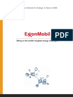 Exxon Mobile-2010 Outlook