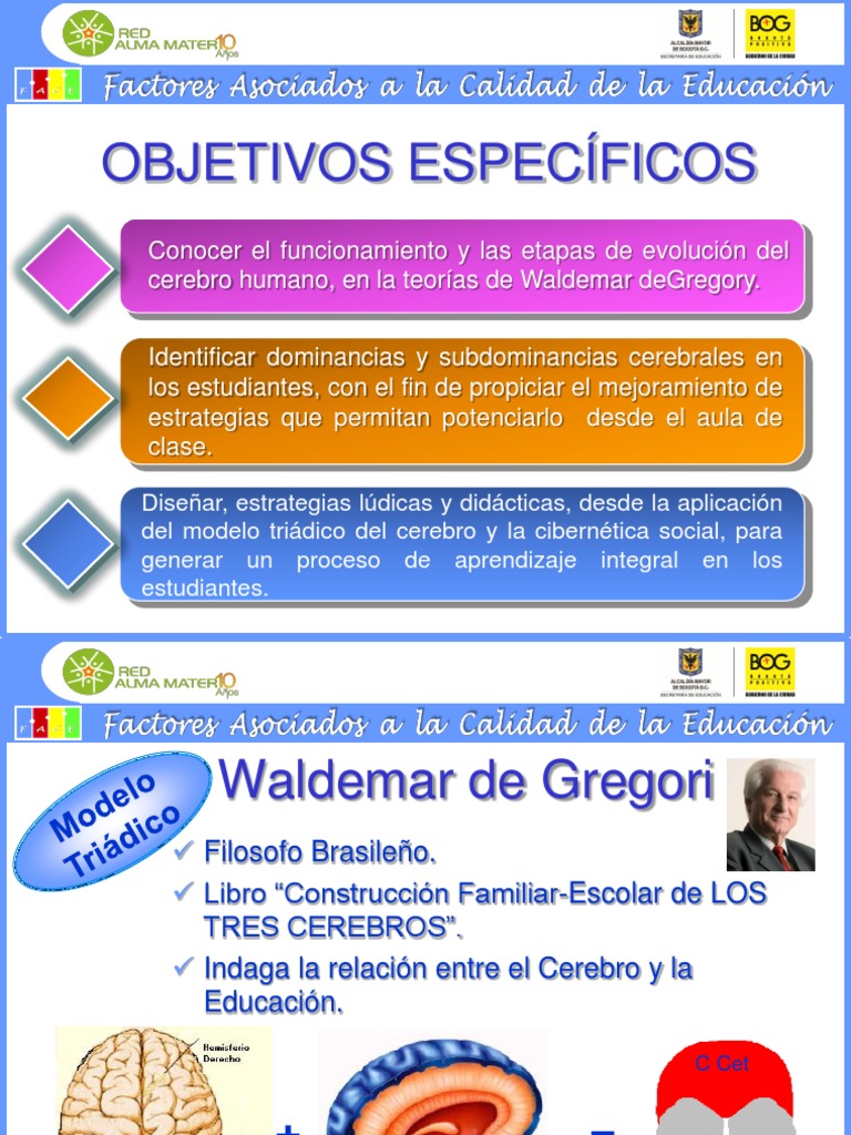 Cerebro | PDF | Crecimiento personal y profesional