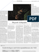 Fliegende Lichtpunkte - NZZ_120804