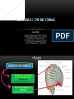 Exploracion de Torax