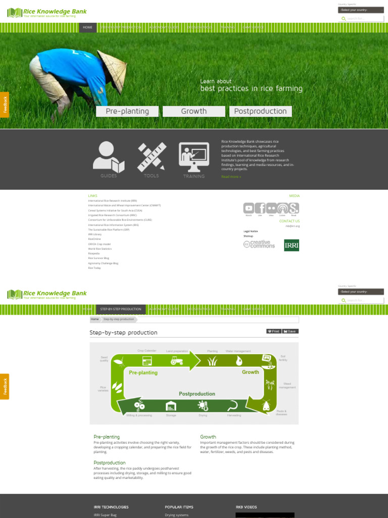 IRRI&Pinoy Rice Knowledge Bank GUI | PDF | Rice | International Rice ...