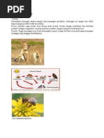 Download CONTOH PREDASI by hunny_bunny63 SN105370446 doc pdf