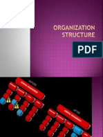 Organization Structure