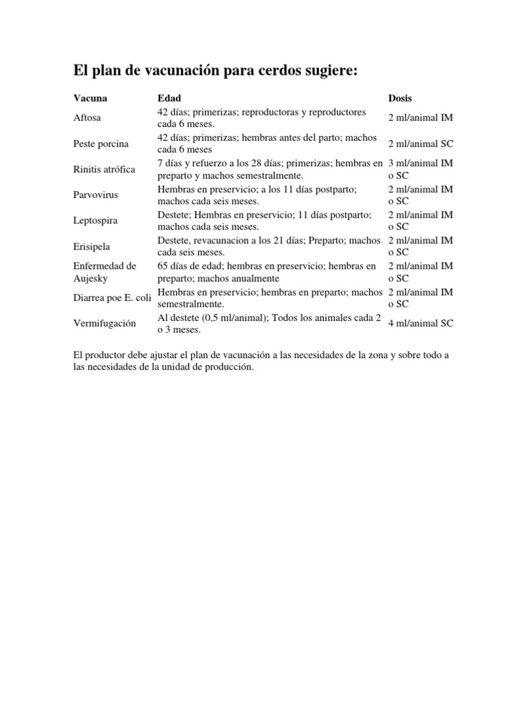 Plan de Vacunación para Cerdos | PDF | Cerdo doméstico | Carne