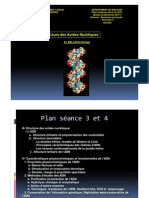 Cours Des Acides Nucleiques