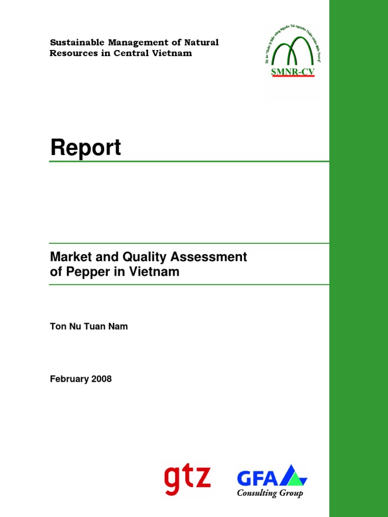 Vietnam Pepper Market Overview 2008 | PDF | Black Pepper | Vietnam
