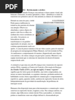 mente e cérebro - autismo