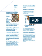 Razones Trigonometricas de Un Angulo en Posicion Normal Parte I