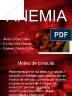 ANEMIAdefinitivo Expos