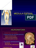 15- Medula Espinal